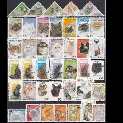 Colección de 50 sellos postales de gatos diferentes, juego de sellos para álbumes de recortes, 50 gatos reales usados