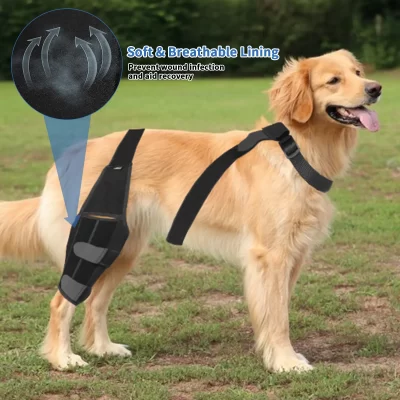 Vendajes para perros y mascotas, correa de protección para la rodilla, suministros médicos, accesorios para perros